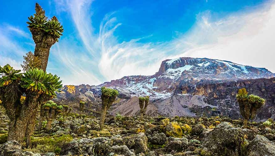 8 day Lemosho Route Kilimanjaro trek