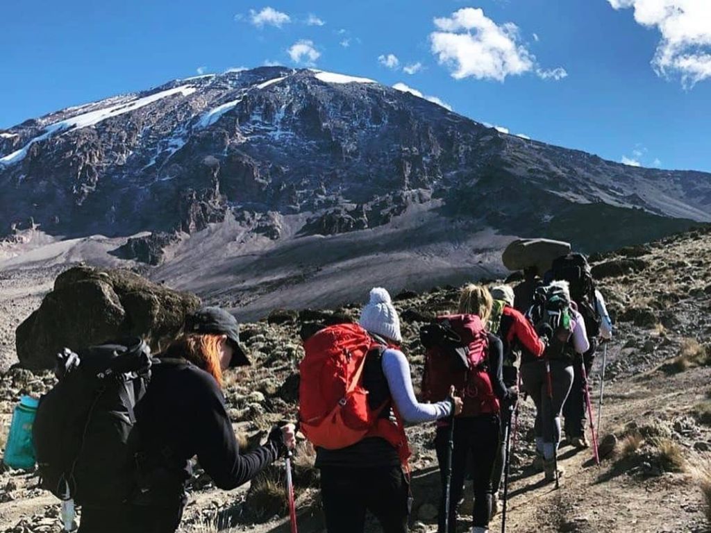 Trekkers climbing Mount Kilimanjaro with Marangu Treks Travel