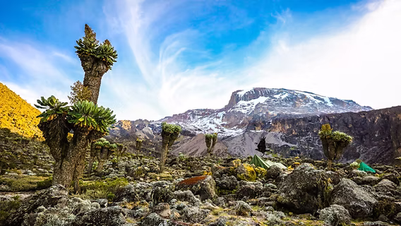 Mount Kilimanjaro ecological zones