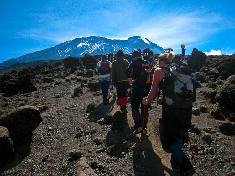 Marangu Treks Travel guides on Kilimanjaro