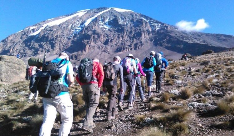 Mount Kilimanjaro summit view