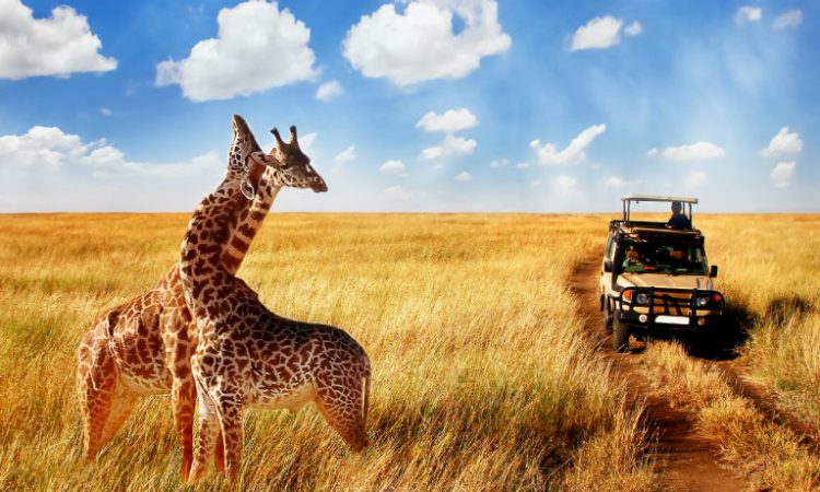 3 DAY SERENGETI & NGORONGORO CRATER